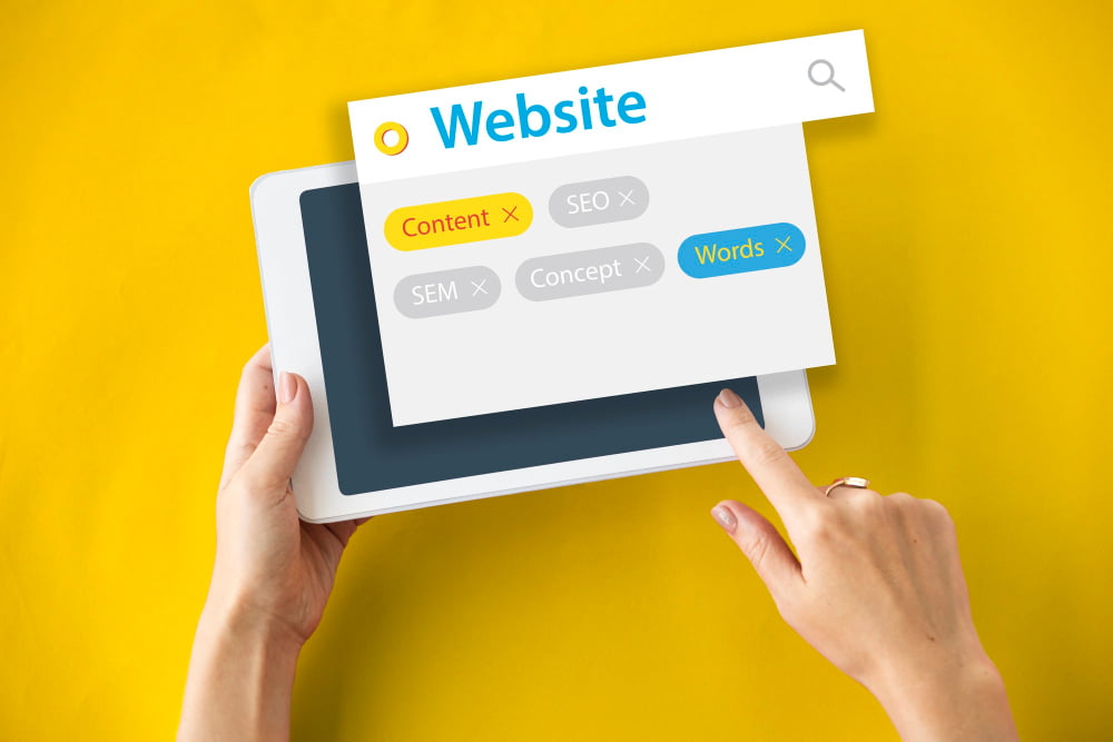 New Site Pages Indexed — Optimizing Website Crawlability