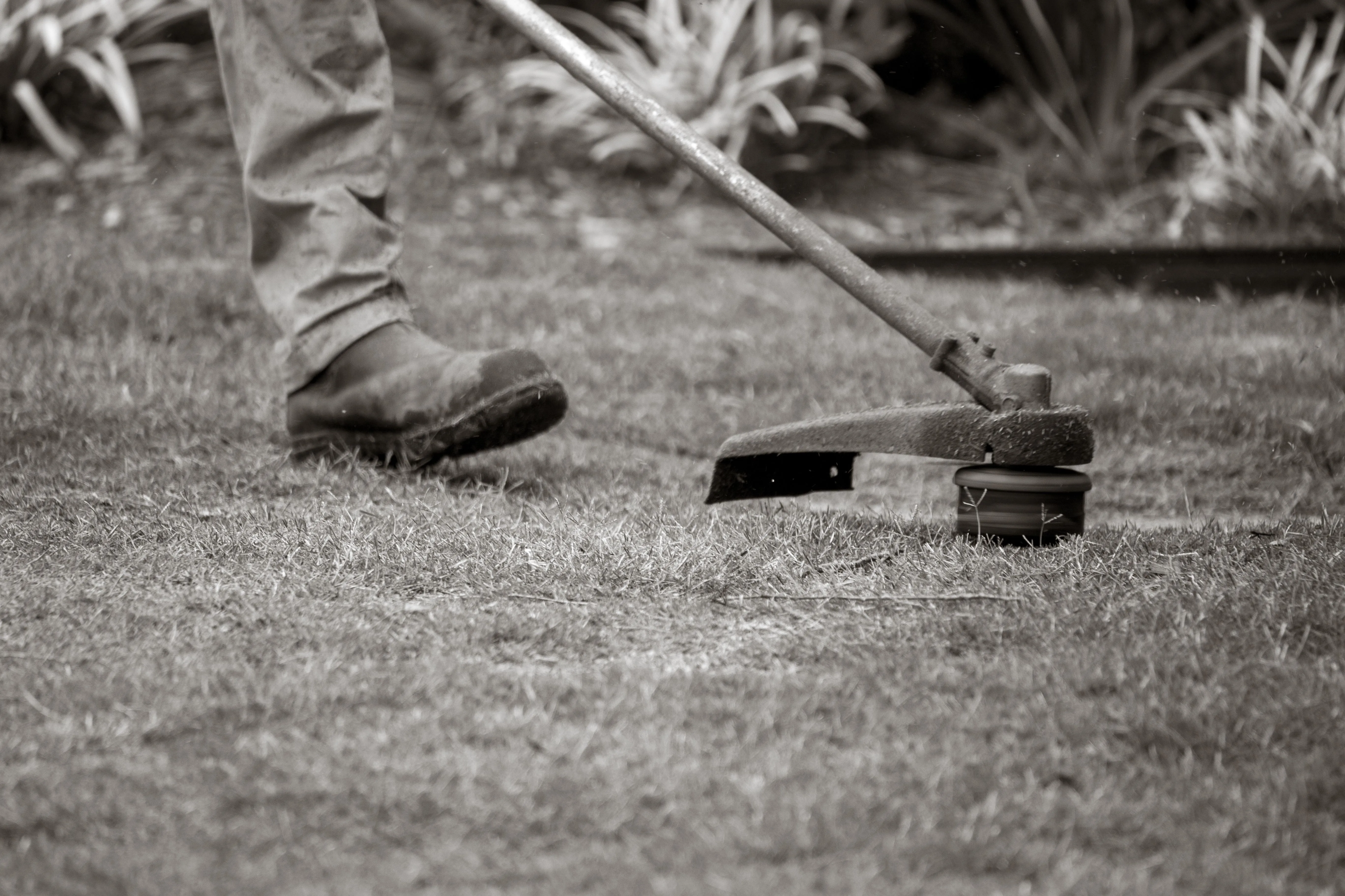 Landscaping digital booking and field service software preview